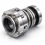 WhatsApp Image 2026-02-11 at 11.01.30